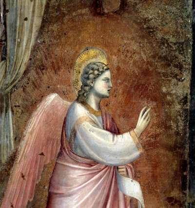 La Anunciación, detalle del Ángel Gabriel, de la luneta sobre el altar, c.1305 (detalle) de Giotto di Bondone